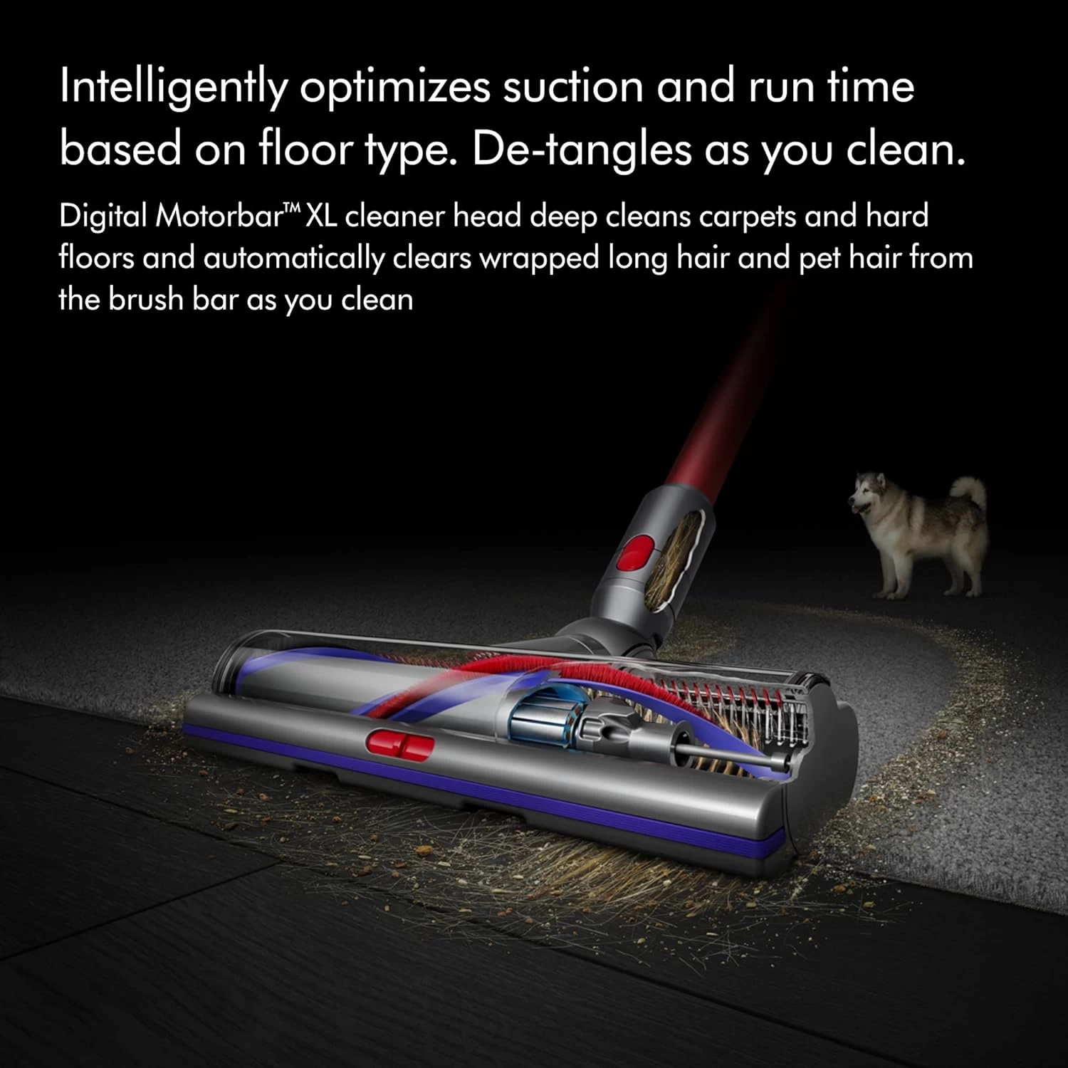 Dyson Outsize+ Cordless Vacuum Cleaner 6 Dyson Outsize+ Cordless Vacuum Cleaner - Image 4