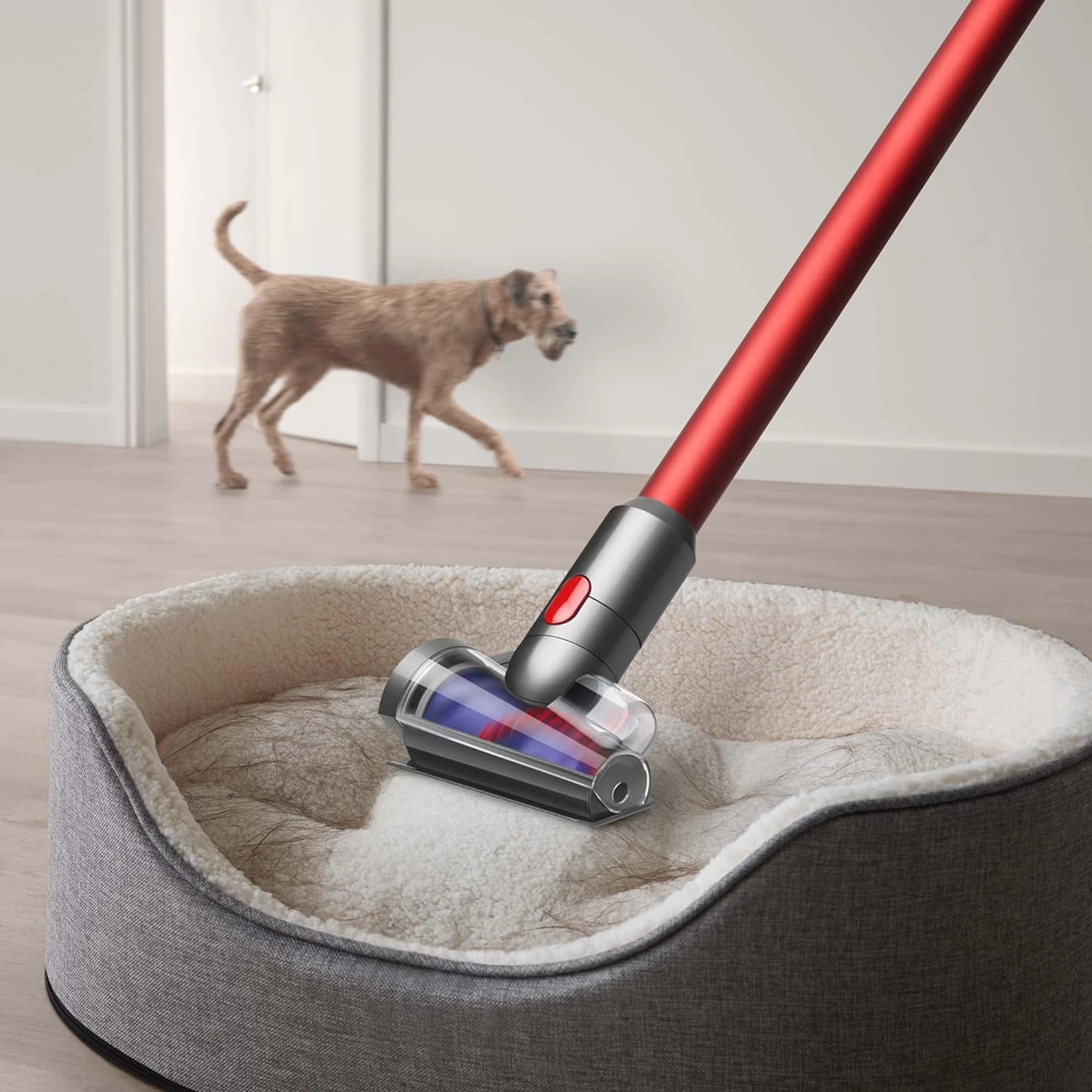 Dyson Outsize+ Cordless Vacuum Cleaner 10 Dyson Outsize+ Cordless Vacuum Cleaner - Image 8