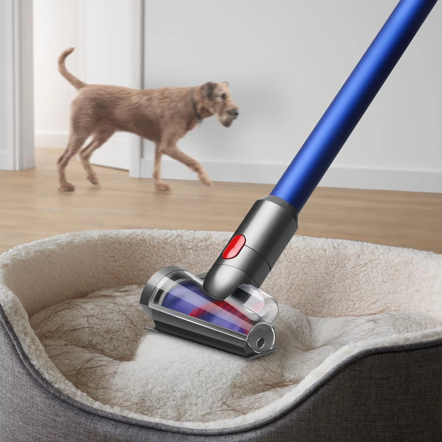 Dyson V11 Cordless Stick Vaccum, Large, Nickel/Blue 8 Dyson V11 Cordless Stick Vaccum, Large, Nickel/Blue - Image 6