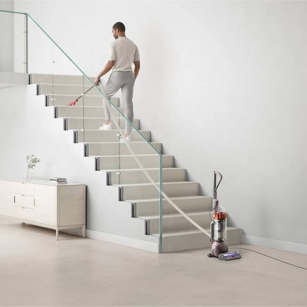 Dyson Ball™ Animal (25045734) 7 Dyson Ball™ Animal (25045734) - Image 5